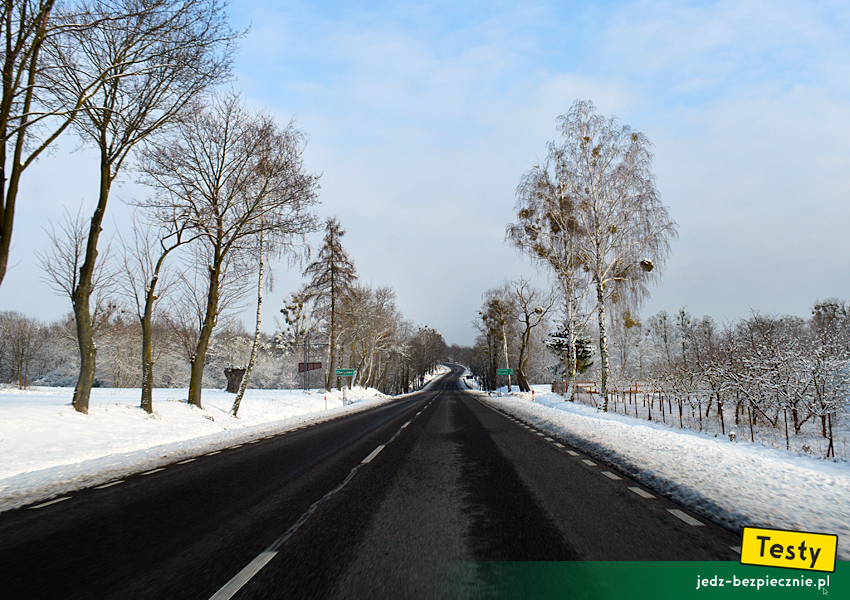 POROZMAWIAJMY O BEZPIECZEŃSTWIE | To nie był bezpieczny styczeń na polskich drogach - droga